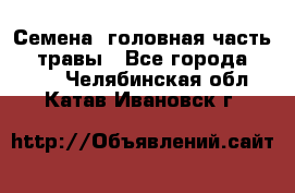 Семена (головная часть))) травы - Все города  »    . Челябинская обл.,Катав-Ивановск г.